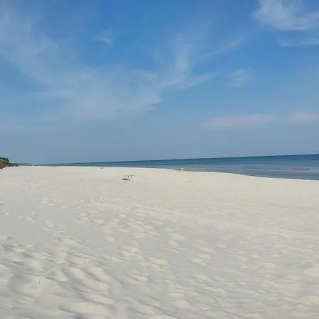 Dom Rozany Caloroczny Ogrzewany Na Wiejskiej 5 Lubiatowo (Pomerania)