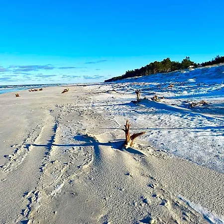 Różany Na Wiejskiej * Lubiatowo (Pomerania)