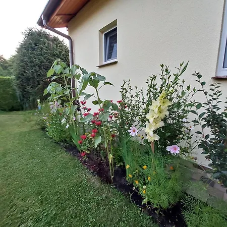Dom Rozany Caloroczny Ogrzewany Na Wiejskiej 5 Holiday home *