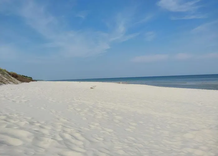 Rozany Na Wiejskiej Lubiatowo (Pomerania)