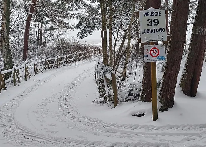 Rozany Na Wiejskiej Semesterbostad Lubiatowo (Pomerania)