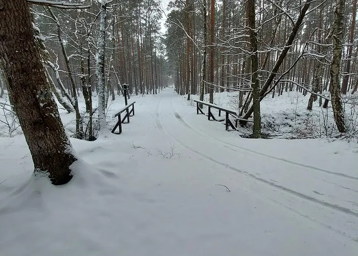 Rozany Na Wiejskiej Semesterbostad