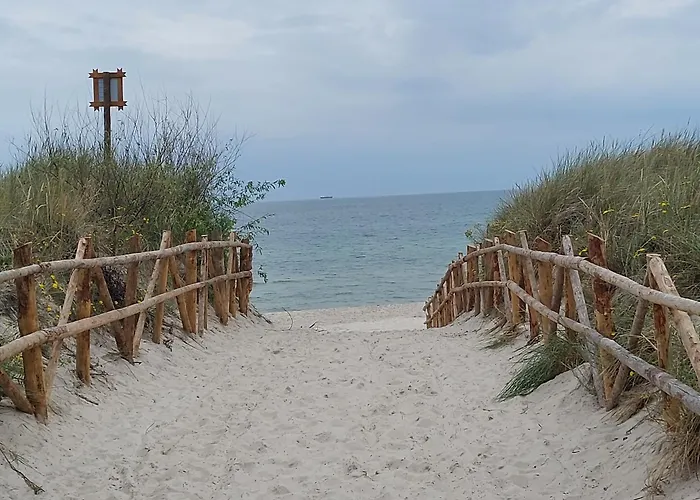 Rozany Na Wiejskiej Semesterbostad Lubiatowo (Pomerania)