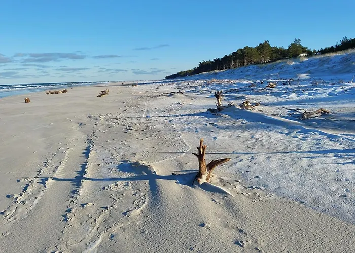 Semesterbostad Rozany Na Wiejskiej