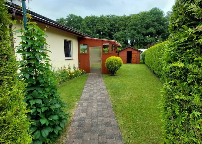 Rozany Na Wiejskiej *