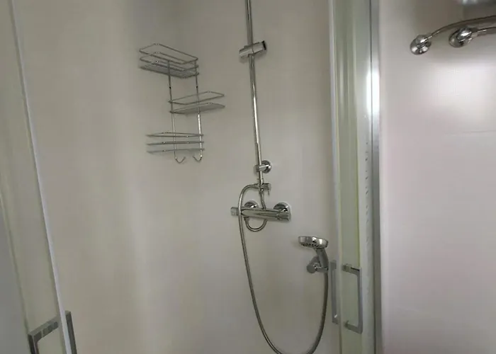 Rozany Na Wiejskiej *